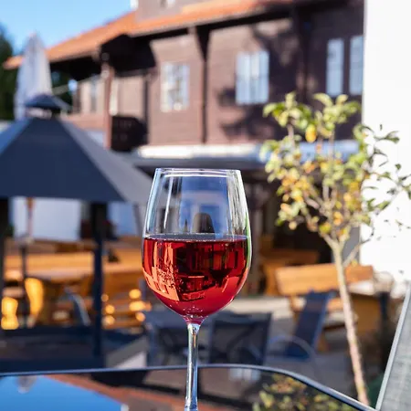 Valnovka Wellness 3* Kamenice