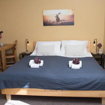 Wellness Valnovka 3* Kamenice (Prague-East)