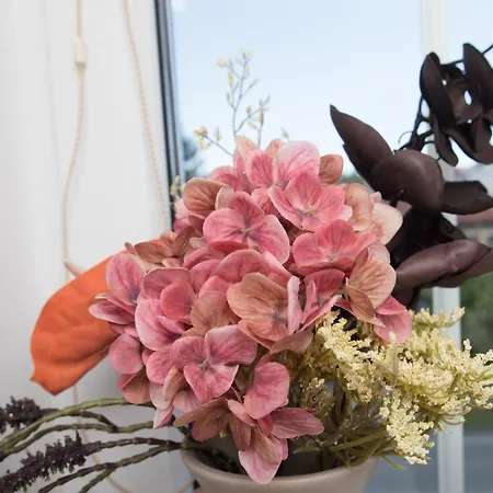 Hotel Valnovka Wellness Kamenice (Prague-East)