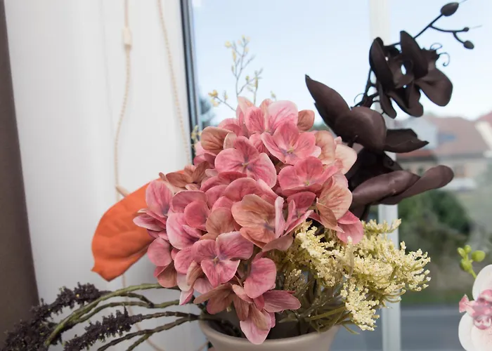 Hotel Wellness Valnovka Kamenice (Prague-East)